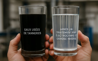 Traitement et Réutilisation des Effluents de Tannerie par électrocoagulation puis séparation membranaire